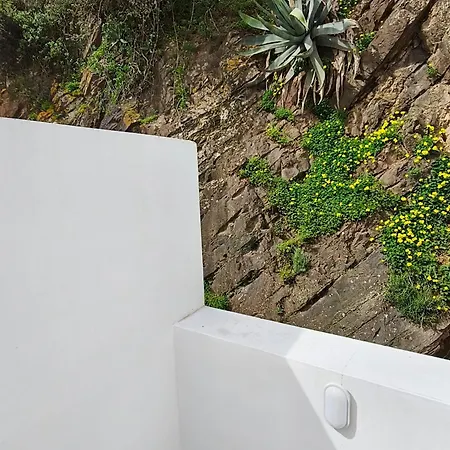 Floral Pensión